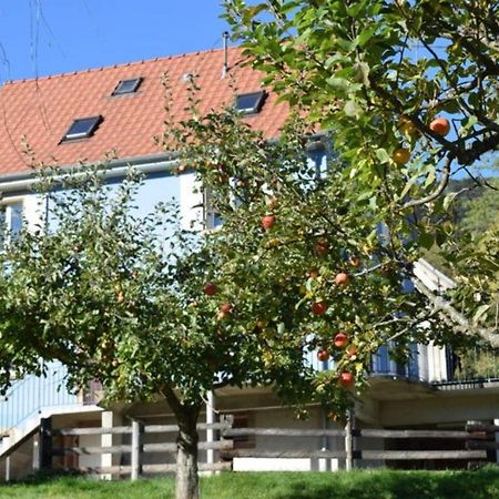 Les Locations De Stephanie ,Gite Le Verger Sondernach Buitenkant foto