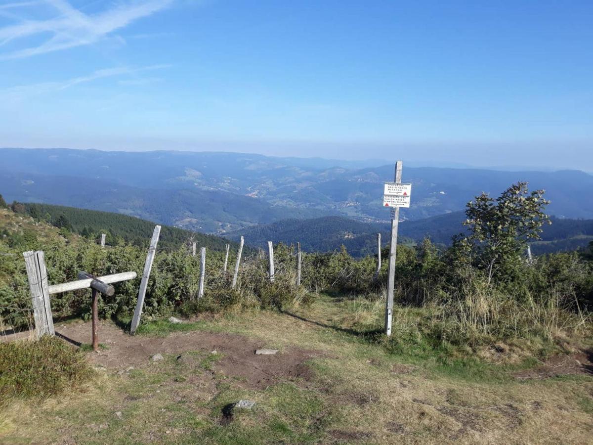 Les Locations De Stephanie ,Gite Le Verger Sondernach Buitenkant foto