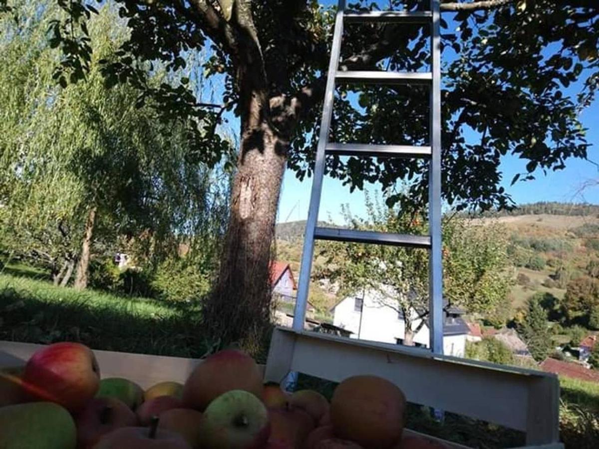 Les Locations De Stephanie ,Gite Le Verger Sondernach Buitenkant foto
