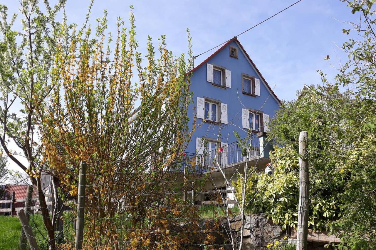 Les Locations De Stephanie ,Gite Le Verger Sondernach Buitenkant foto