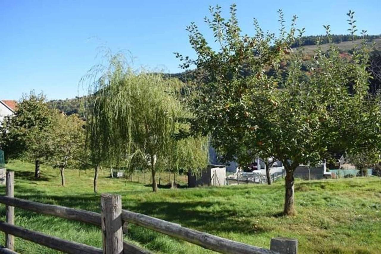 Les Locations De Stephanie ,Gite Le Verger Sondernach Buitenkant foto