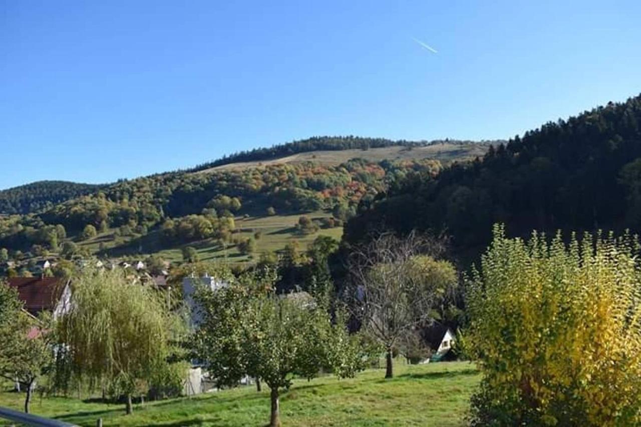 Les Locations De Stephanie ,Gite Le Verger Sondernach Buitenkant foto