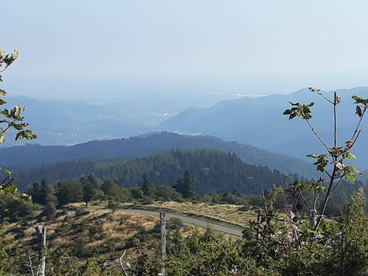 Les Locations De Stephanie ,Gite Le Verger Sondernach Buitenkant foto