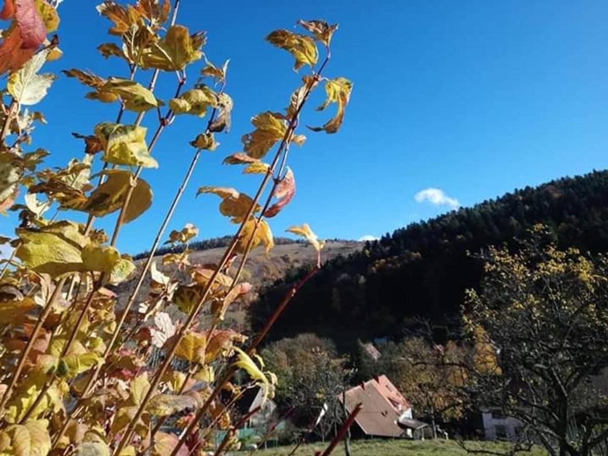 Les Locations De Stephanie ,Gite Le Verger Sondernach Buitenkant foto