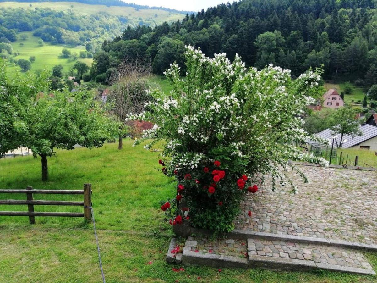 Les Locations De Stephanie ,Gite Le Verger Sondernach Buitenkant foto