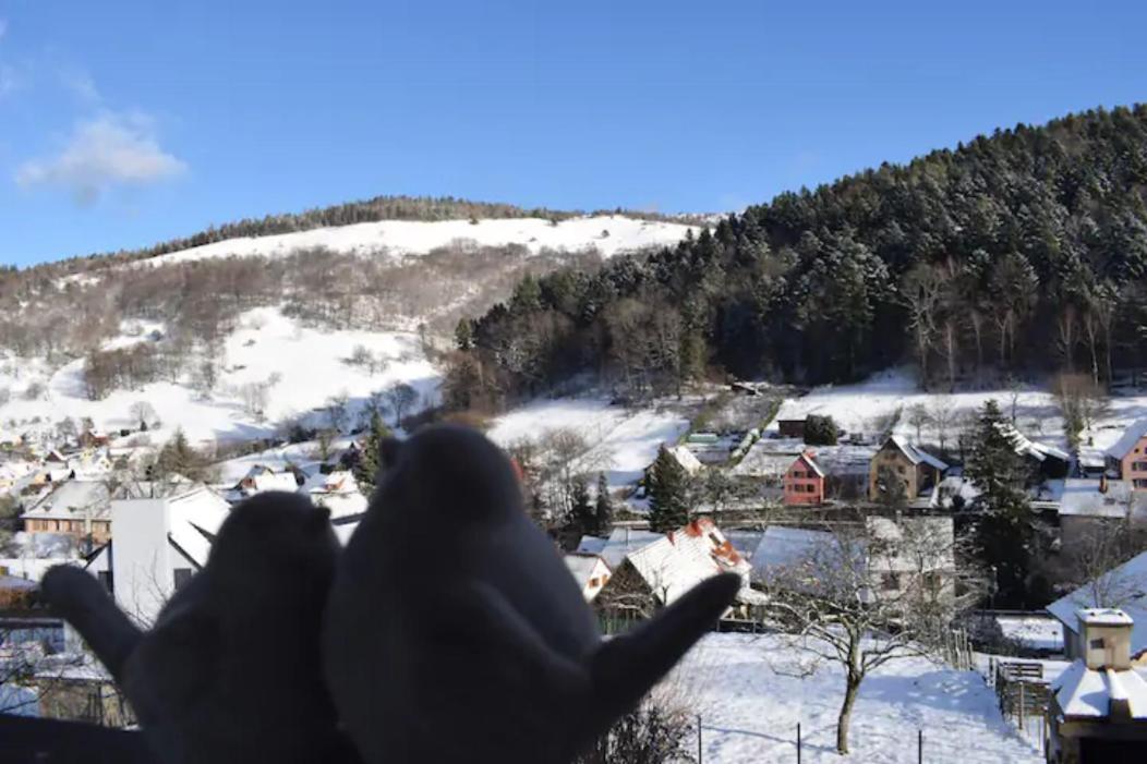 Les Locations De Stephanie ,Gite Le Verger Sondernach Buitenkant foto