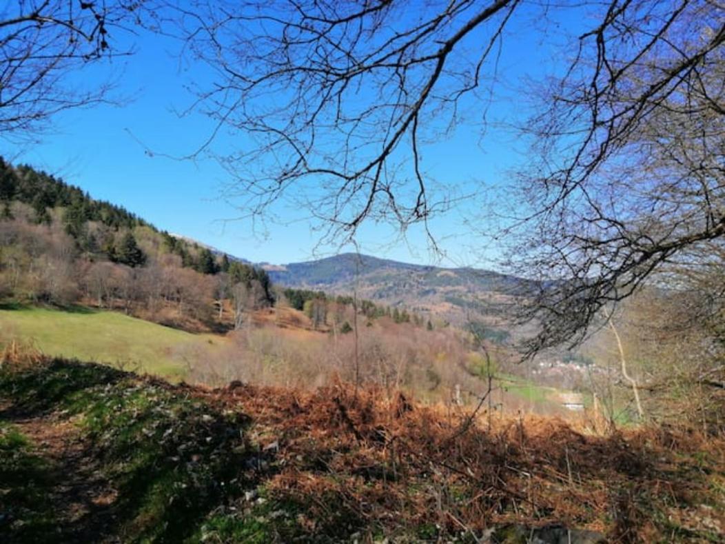 Les Locations De Stephanie ,Gite Le Verger Sondernach Buitenkant foto