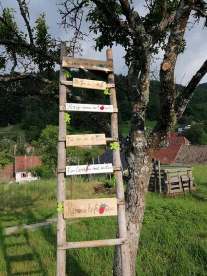 Les Locations De Stephanie ,Gite Le Verger Sondernach Buitenkant foto