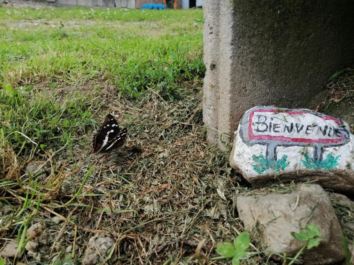 Les Locations De Stephanie ,Gite Le Verger Sondernach Buitenkant foto