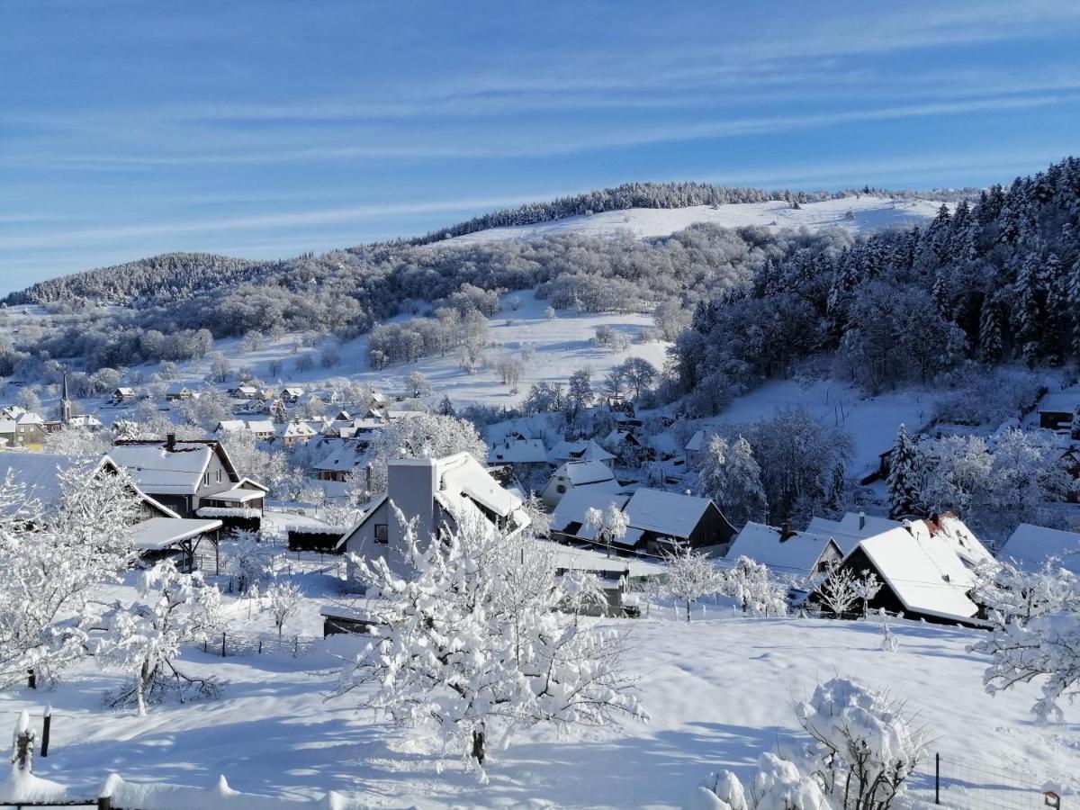 Les Locations De Stephanie ,Gite Le Verger Sondernach Buitenkant foto